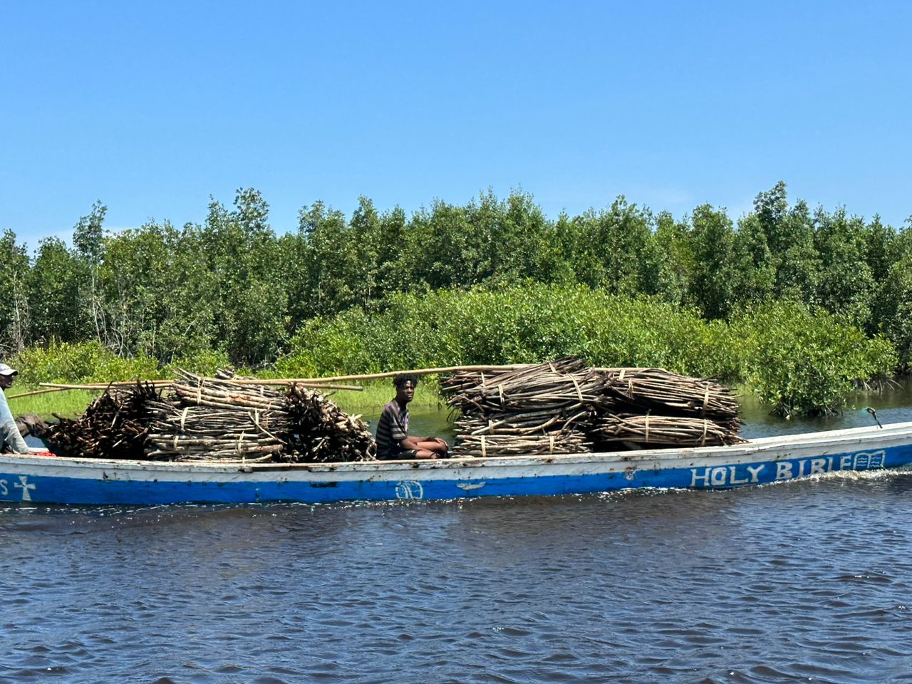 wetland