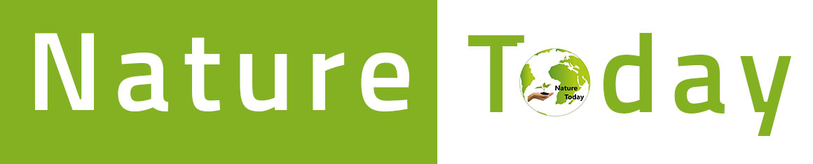 natureToday-logo